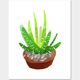 A succulent idea Posters and Art